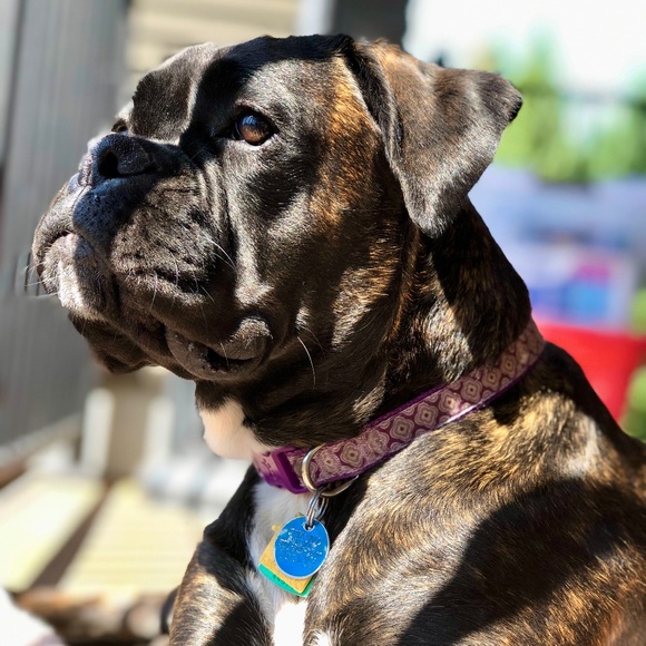 Meet your Posher - Picture 2 of 5